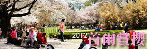 2012-春季首爾賞櫻之旅